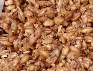 Grains not crushed post boil