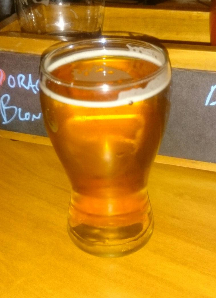 Kickstand Pontoon Pale Ale BeerSnobby